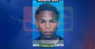 Triste suceso en Palmar Arriba deja un joven sin existencia
