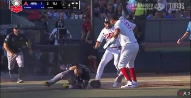 Danry Vásquez protagoniza pelea en Liga Mexicana de Béisbol y revive historial de violencia