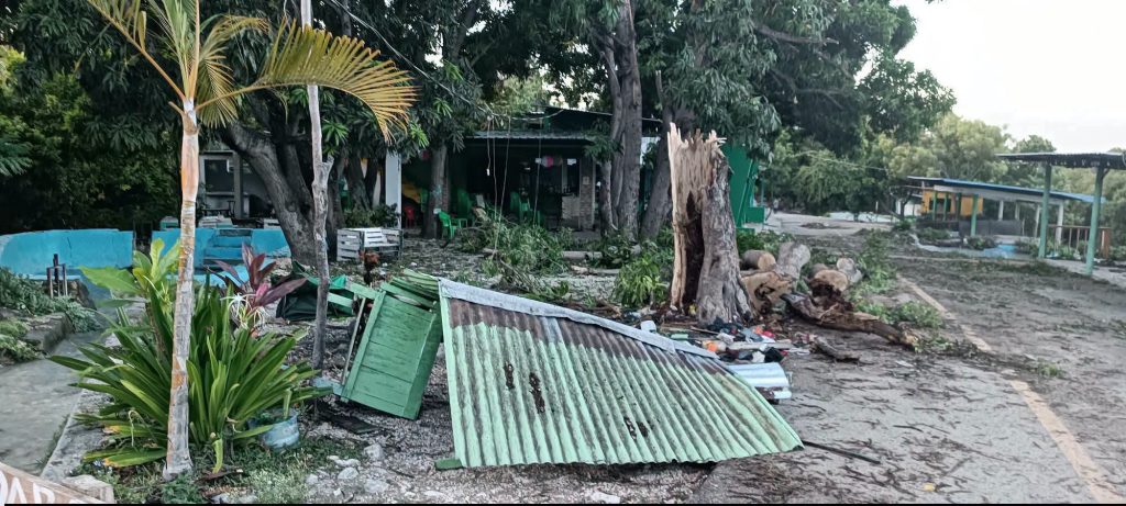 Tornado deja graves daños y destruye más de 500 tareas de plátanos en Bahoruco