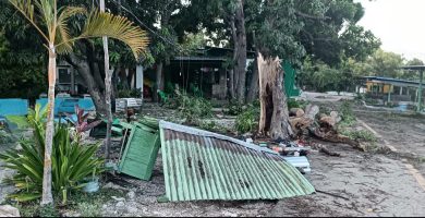 Tornado deja graves daños y destruye más de 500 tareas de plátanos en Bahoruco