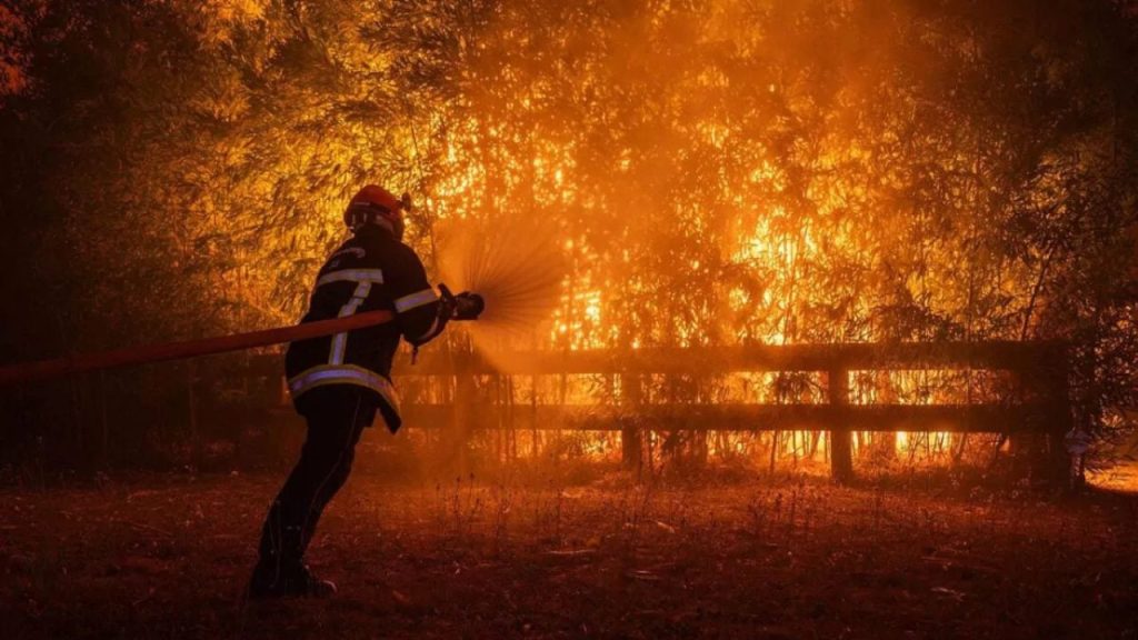 Francia detiene 402 personas por incendios forestales