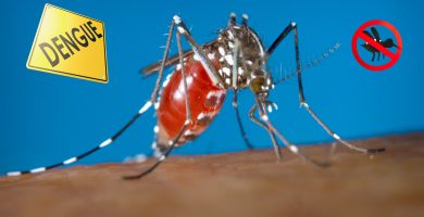 Casos de dengue van en aumento en la República Dominicana