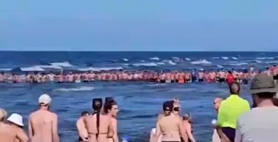 Cadena humana ayuda a localizar a niño de dos años extraviado en playa de Polonia
