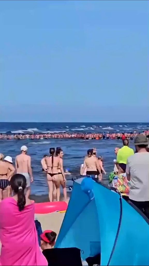 Cadena humana ayuda a localizar a niño de dos años extraviado en playa de Polonia