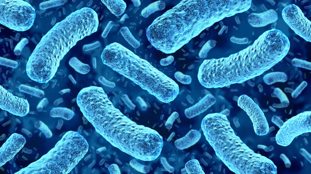 Suben a siete las muertes por una bacteria carnívora en las costas de EE.UU.