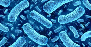 Suben a siete las muertes por una bacteria carnívora en las costas de EE.UU.