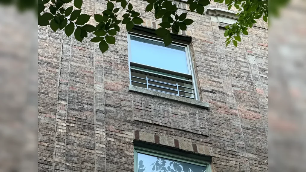 Pequeño experimenta lamentable situación en Nueva York