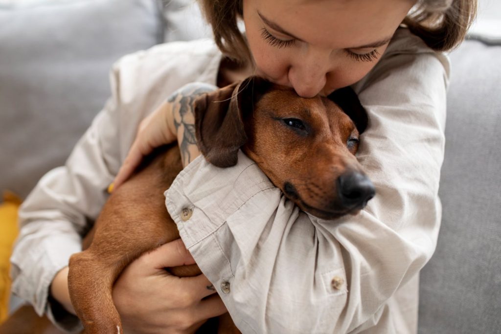 Los perros pueden distinguir entre el miedo y la tristeza en los rostros humanos