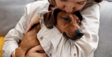 Los perros pueden distinguir entre el miedo y la tristeza en los rostros humanos