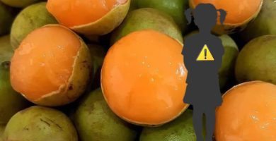 A tener precaución: niña de tres años muere tras tragarse una semilla de limoncillo en Elías Piña