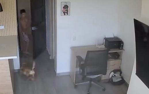 ¡Ni el terremoto los separó! Niño arriesga todo para volver por su perrito