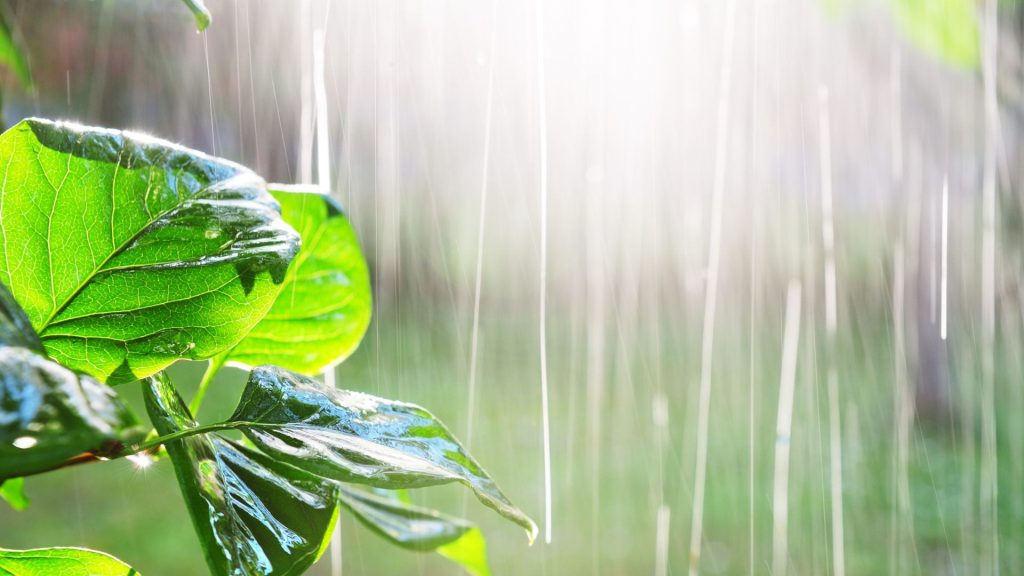 ¡Vigilan potencial ciclónico! Onda tropical y vaguada provocarán lluvias en RD