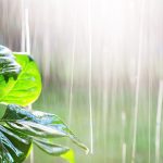 ¡Vigilan potencial ciclónico! Onda tropical y vaguada provocarán lluvias en RD