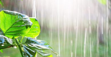 ¡Vigilan potencial ciclónico! Onda tropical y vaguada provocarán lluvias en RD