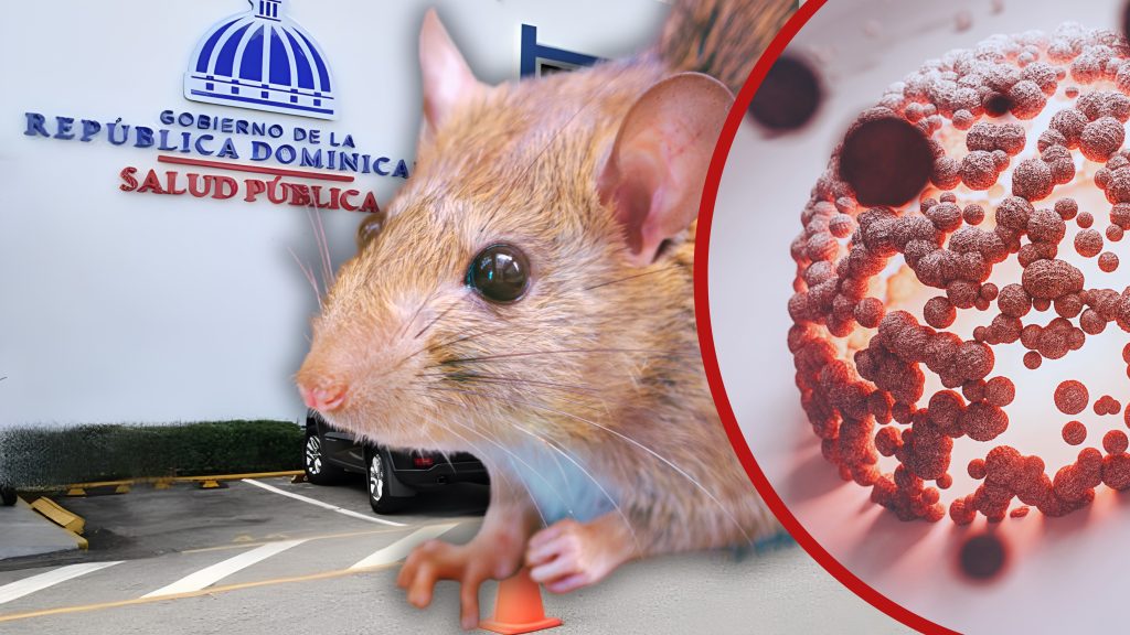 República Dominicana registra casi el triple de casos de leptospirosis en 2026