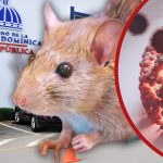 República Dominicana registra casi el triple de casos de leptospirosis en 2026