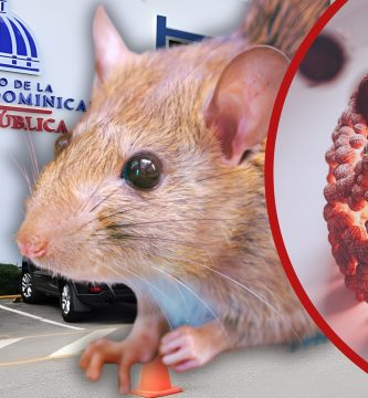 República Dominicana registra casi el triple de casos de leptospirosis en 2026