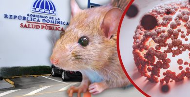 República Dominicana registra casi el triple de casos de leptospirosis en 2026